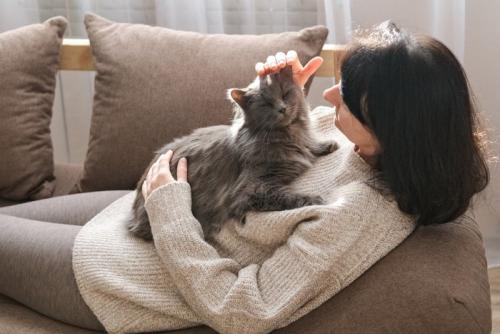 泣いてる子に寄り添う猫