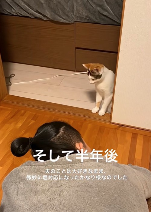 半年後