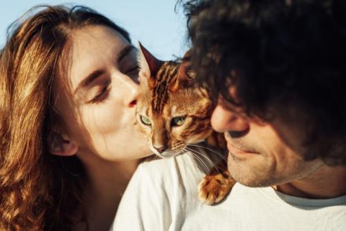 カップルの間に入る猫
