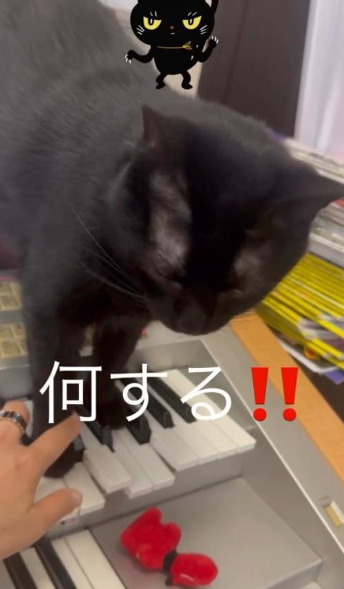 「何する」と書かれた写真