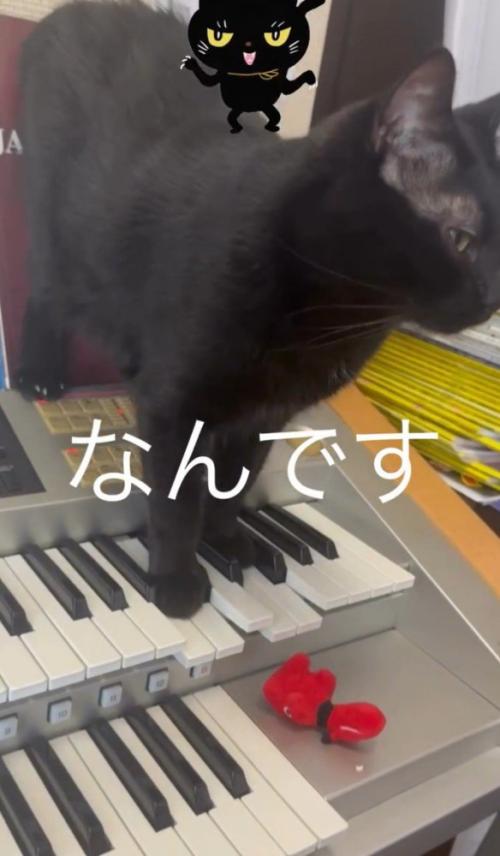 「なんです」と書かれた写真