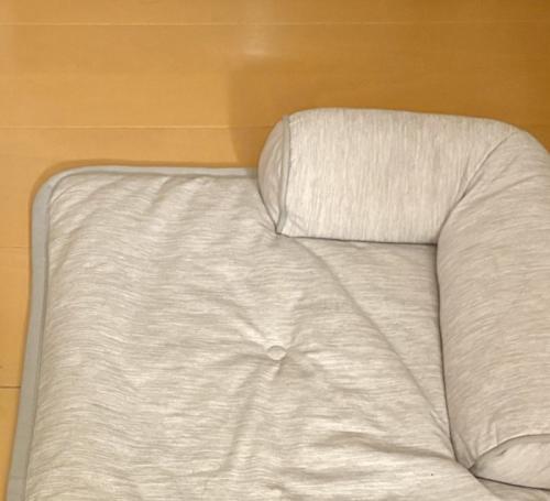 へそ天で眠る猫