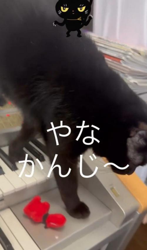 「やな感じ」と書かれた写真2