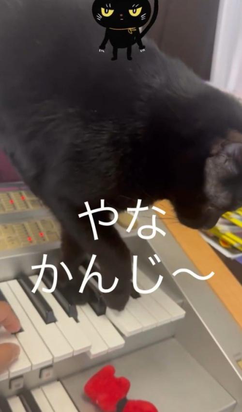 「やな感じ」と書かれた写真1
