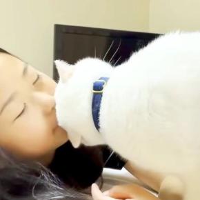 女の子のことが大好きな白猫→名前を呼ばれるとほおずりして…想像以上に愛にあふれた『ふたりの時間』に「最高だね」「ほんとラブラブ」の声