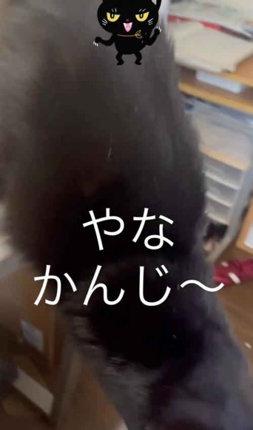 「やな感じ」と書かれた写真3