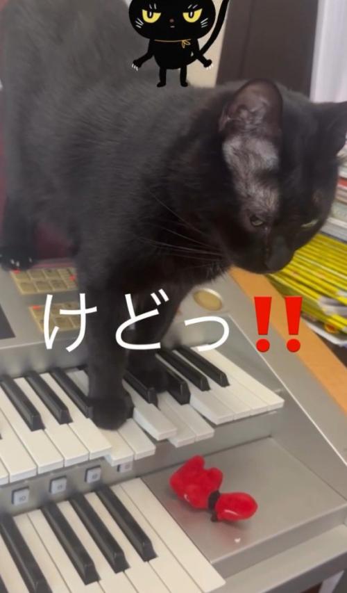 「けどう」と書かれた写真