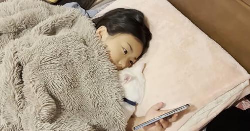 ベッドに寝ている子どもと猫