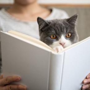 世界の偉人たちによる『猫にまつわる名言』4選　猫好きなら思わず頷く素敵な言葉とは