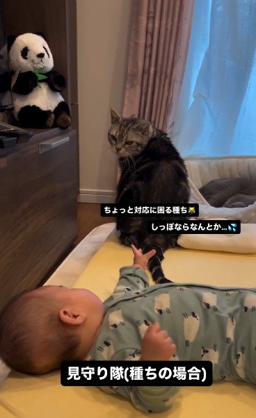 床で寝ている赤ちゃんと座っている猫