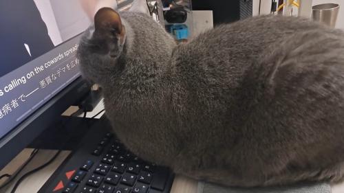横から