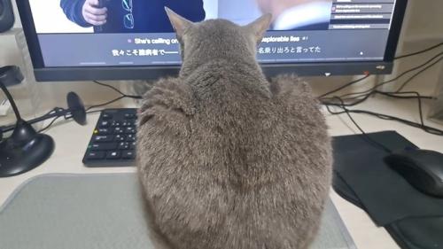 後ろ姿のアップ