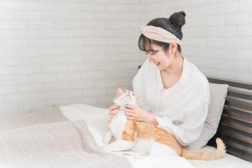 ベッドで猫とスキンシップをとる女性