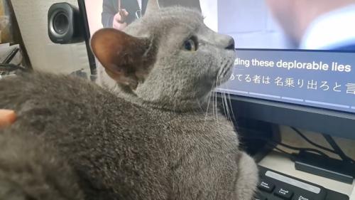 少し上を向いた横顔