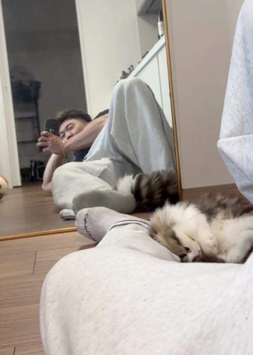 擦り付ける猫