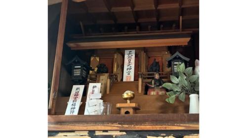 神棚にいる猫