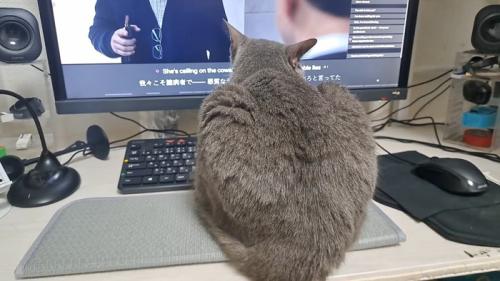 後ろ姿