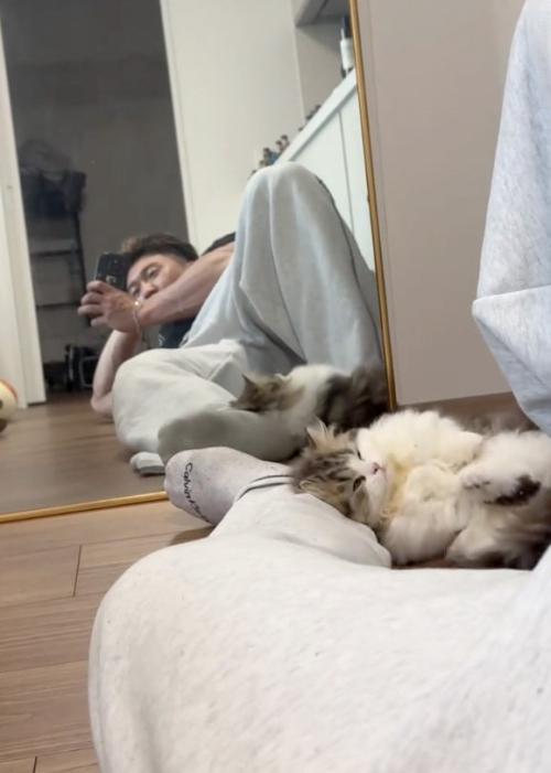 身じろぎする猫