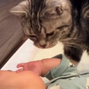 赤ちゃんに近づいてきた『おじいちゃん猫』を見ていると…ほっこりする光景に「なんて可愛いふたりなの」「ちゃんとわかってらっしゃる」の声