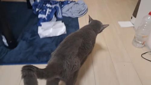 歩いて行く後ろ姿