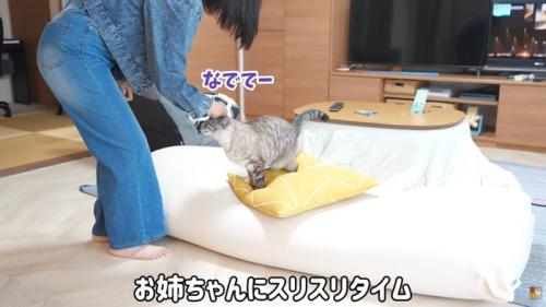 テロップ「お姉ちゃんにスリスリタイム」