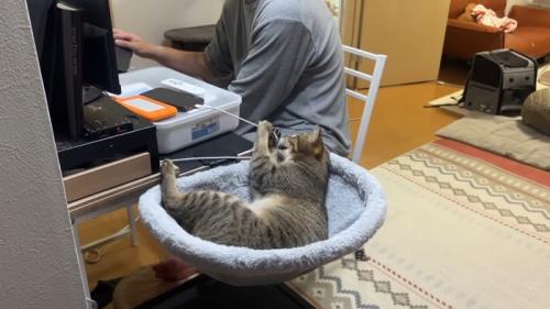 コードにイタズラ