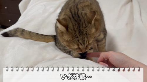 いざ挑戦
