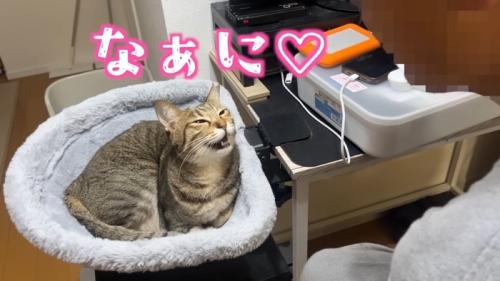 なぁに♡