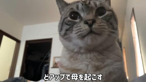 テロップ「どアップで～」