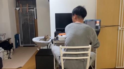見つめ合うふたり