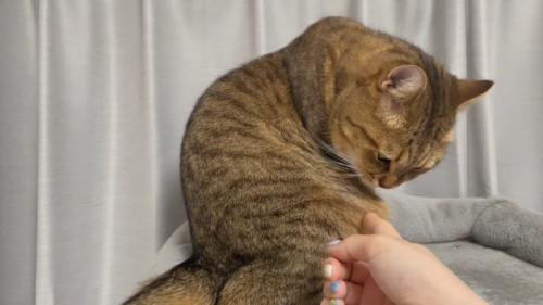 お腹付近に指