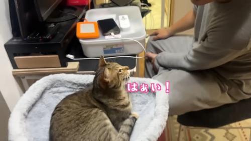 はぁい！