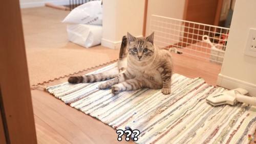 テロップ「？？？」