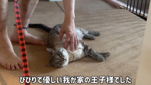 テロップ「びびりで優しい～」