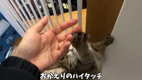おかえりのハイタッチ