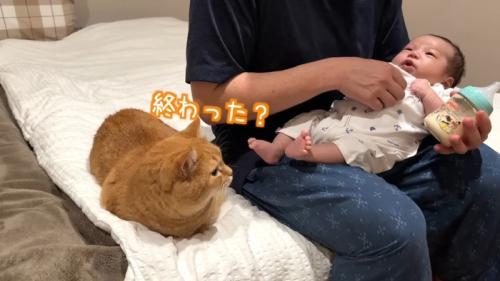 終わった？