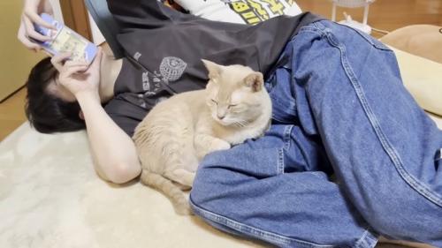 寝転ぶ人にくっついて目を閉じる猫