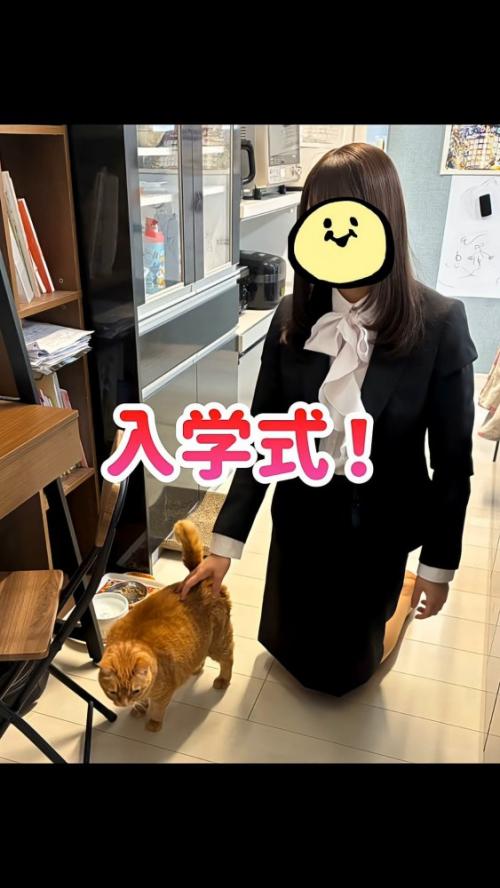 大学生と猫