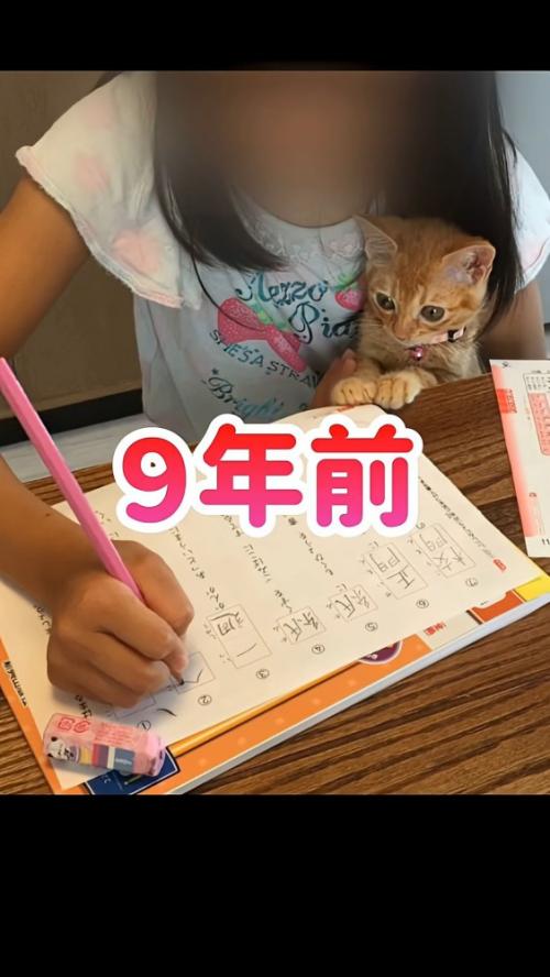 宿題をする女の子と子猫