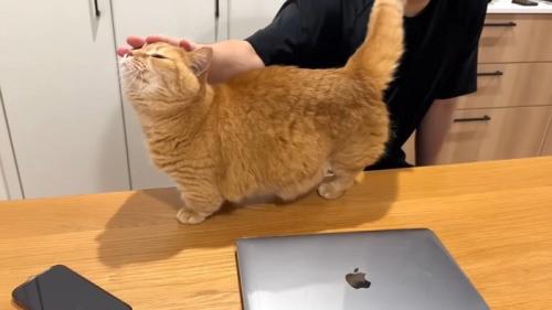 手に頭突き