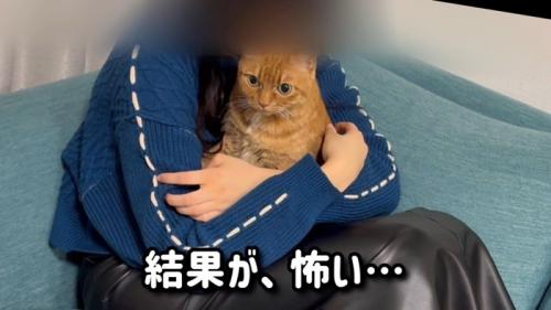 猫を抱く女の子
