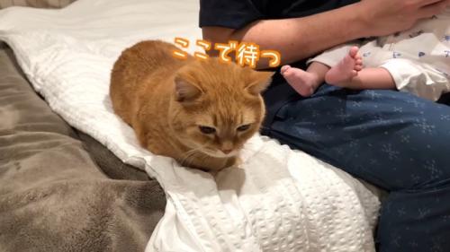 ここで待つ
