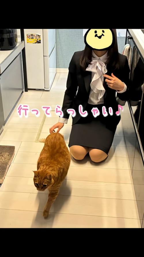 大学生と猫