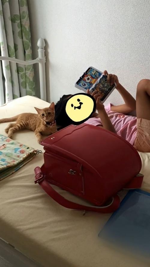 ゲームをする女の子と子猫
