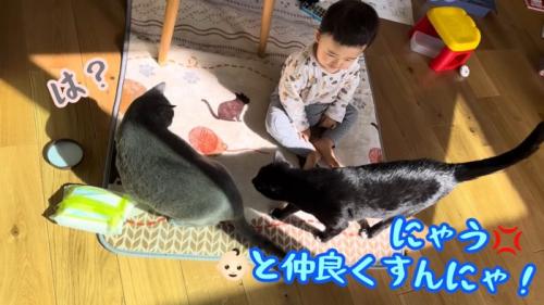 テロップ（右）「にゃう～」