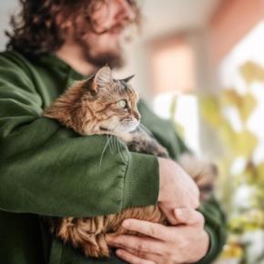 猫は『飼い主に似てくる』と言われる理由3つ　見た目や仕草までそっくりになるのはなぜ？