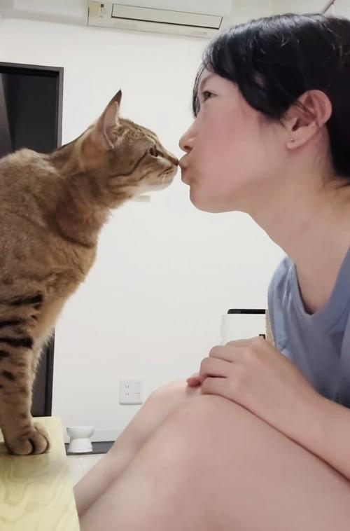 飼い主さんとキスするキジトラ猫