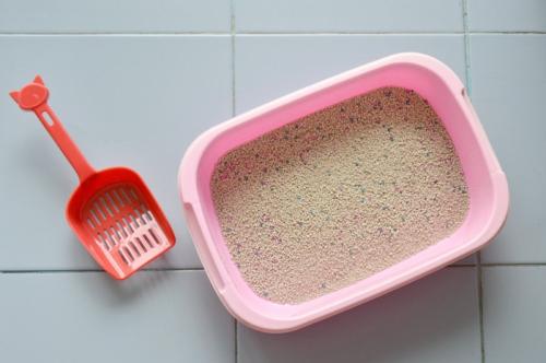 猫のトイレとシャベル