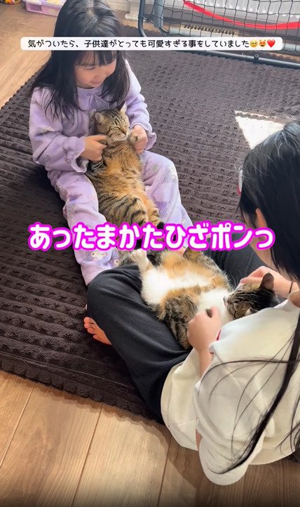 手で肩にタッチする2匹の猫