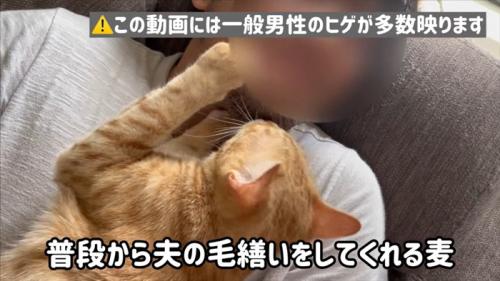 人に抱かれている猫